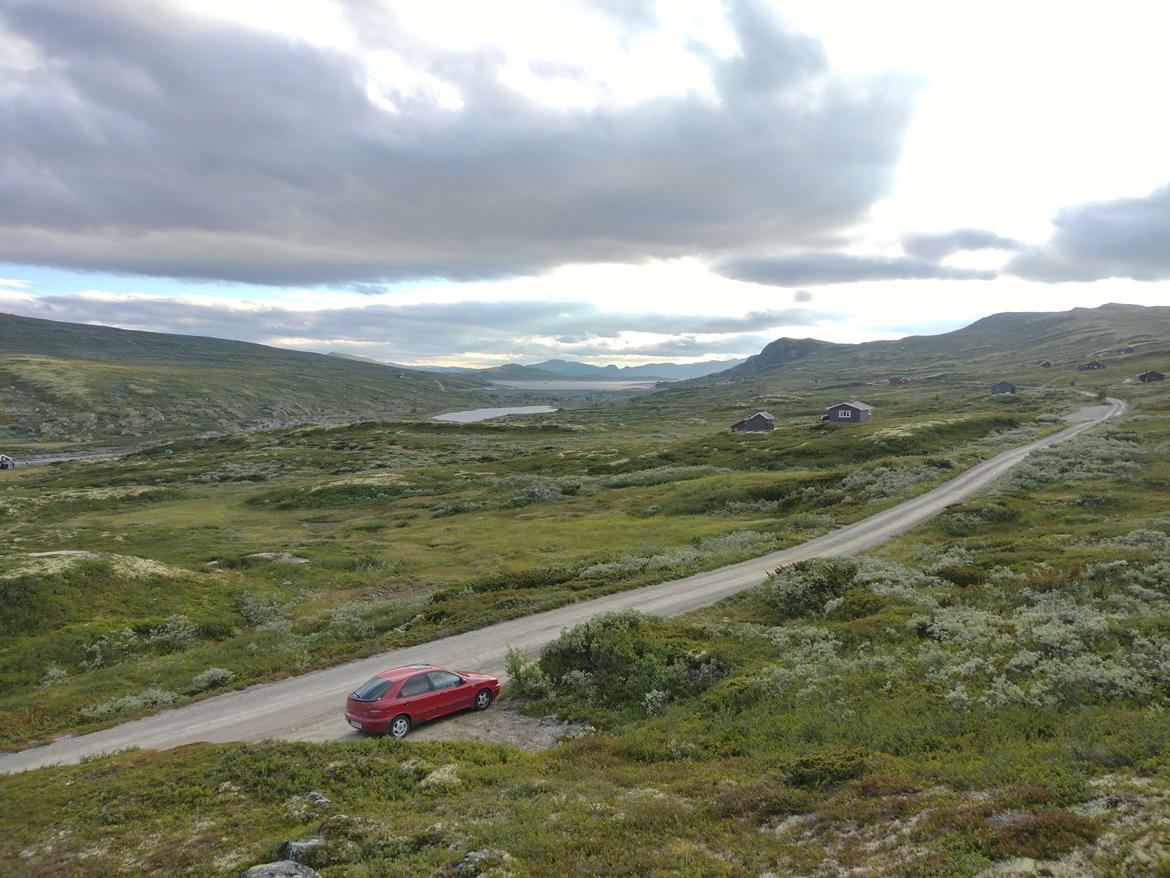 Fiat Brava [DØD] - Den gamle tøs har også været hele vejen til Norge. Her set i Hardangervidda nasjonalpark. billede 11