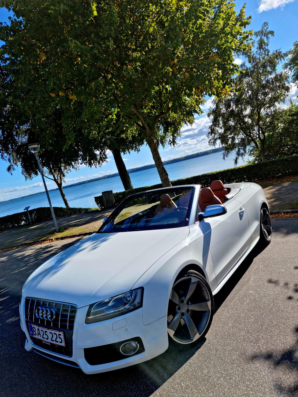 Audi S5 3.0 TFSI Quattro cabriolet billede 3