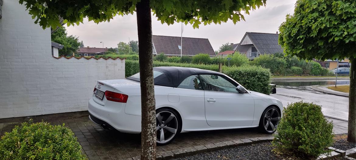 Audi S5 3.0 TFSI Quattro cabriolet billede 20