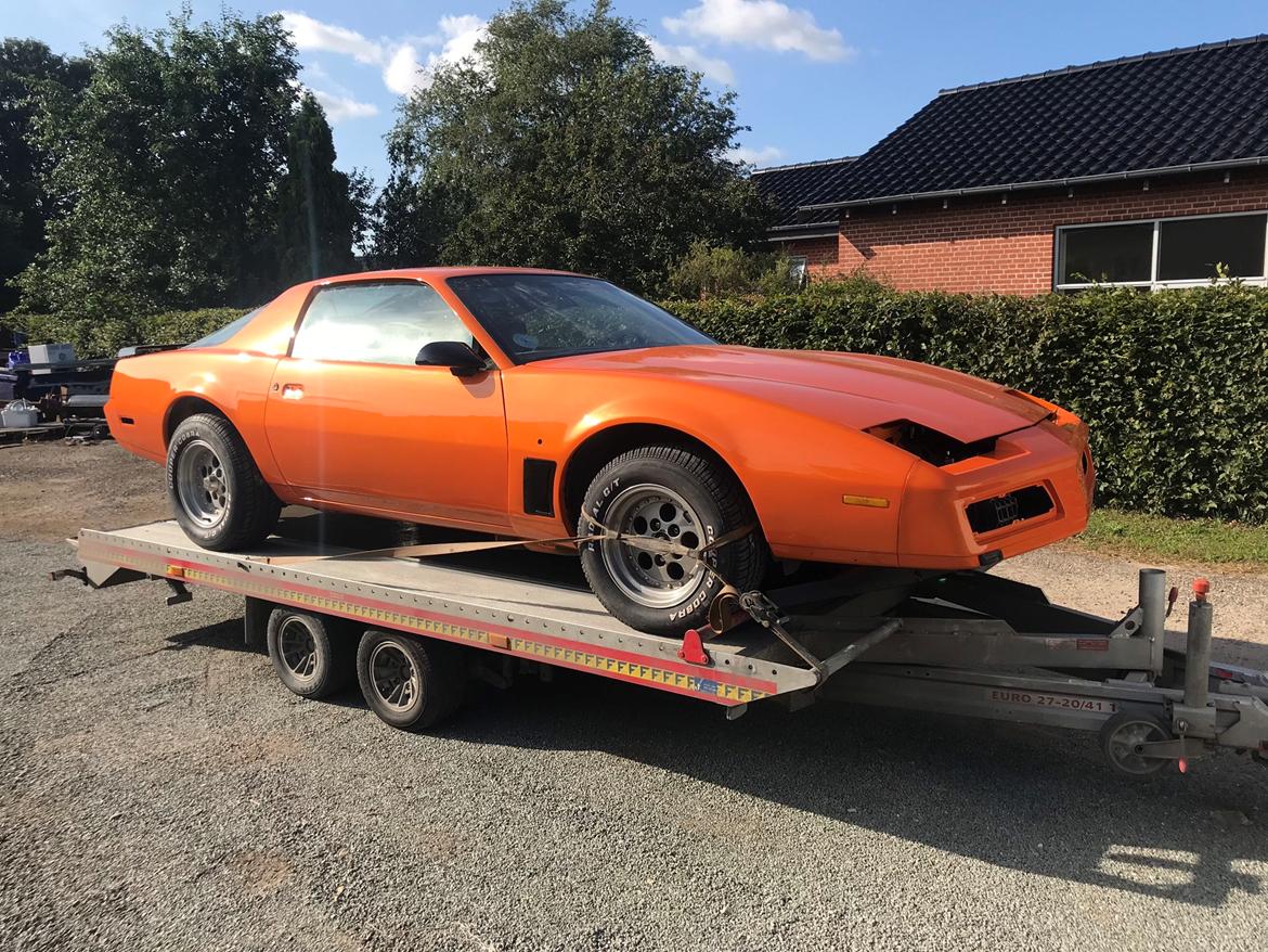 Pontiac Firebird TransAm billede 8