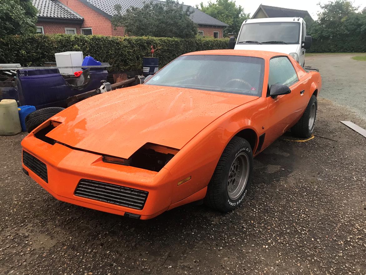 Pontiac Firebird TransAm billede 10