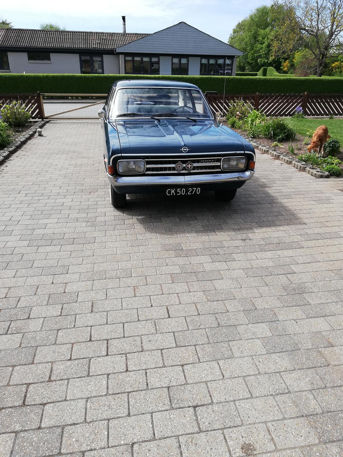 Opel rekord billede 1