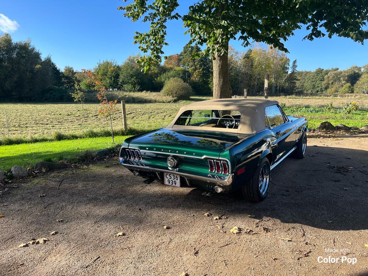 Ford Mustang Convertible 1968 billede 19