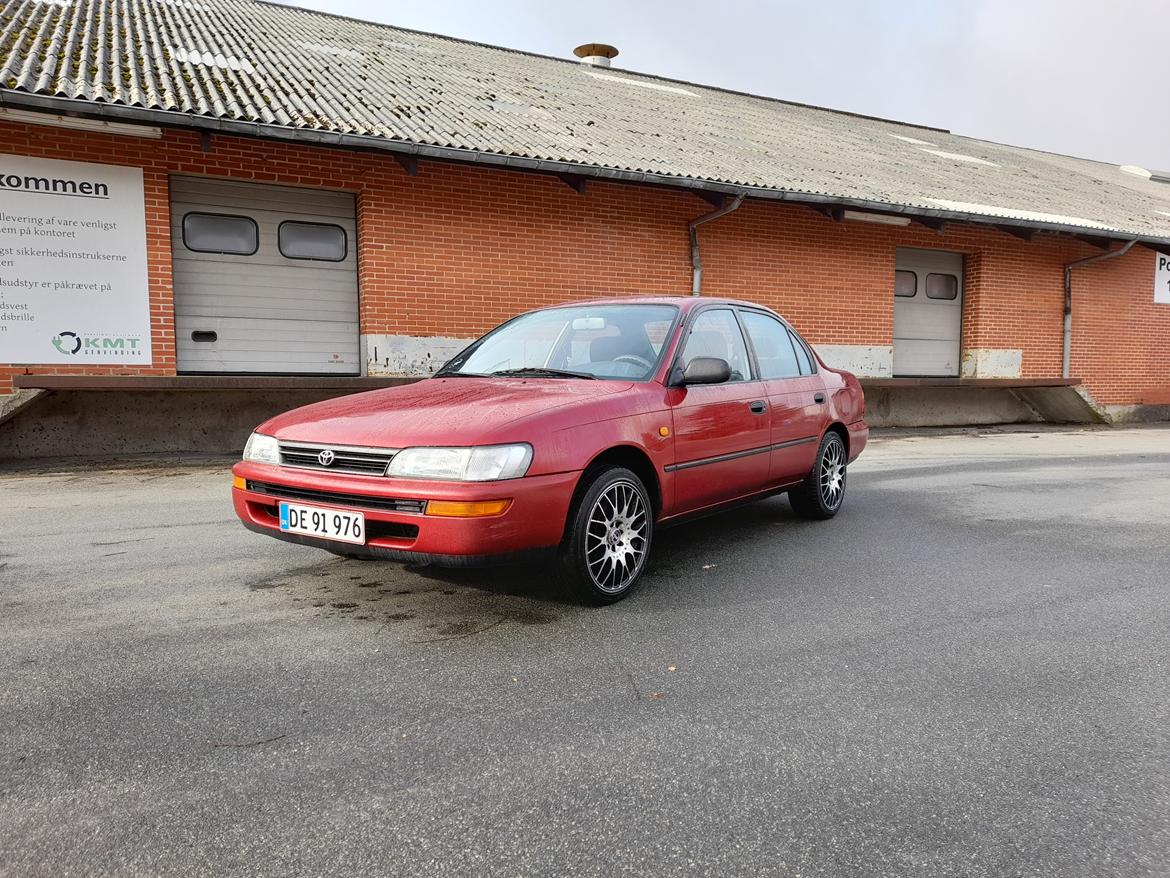 Toyota Corolla 1.3 XLI 16V (EE101) Galla   billede 2