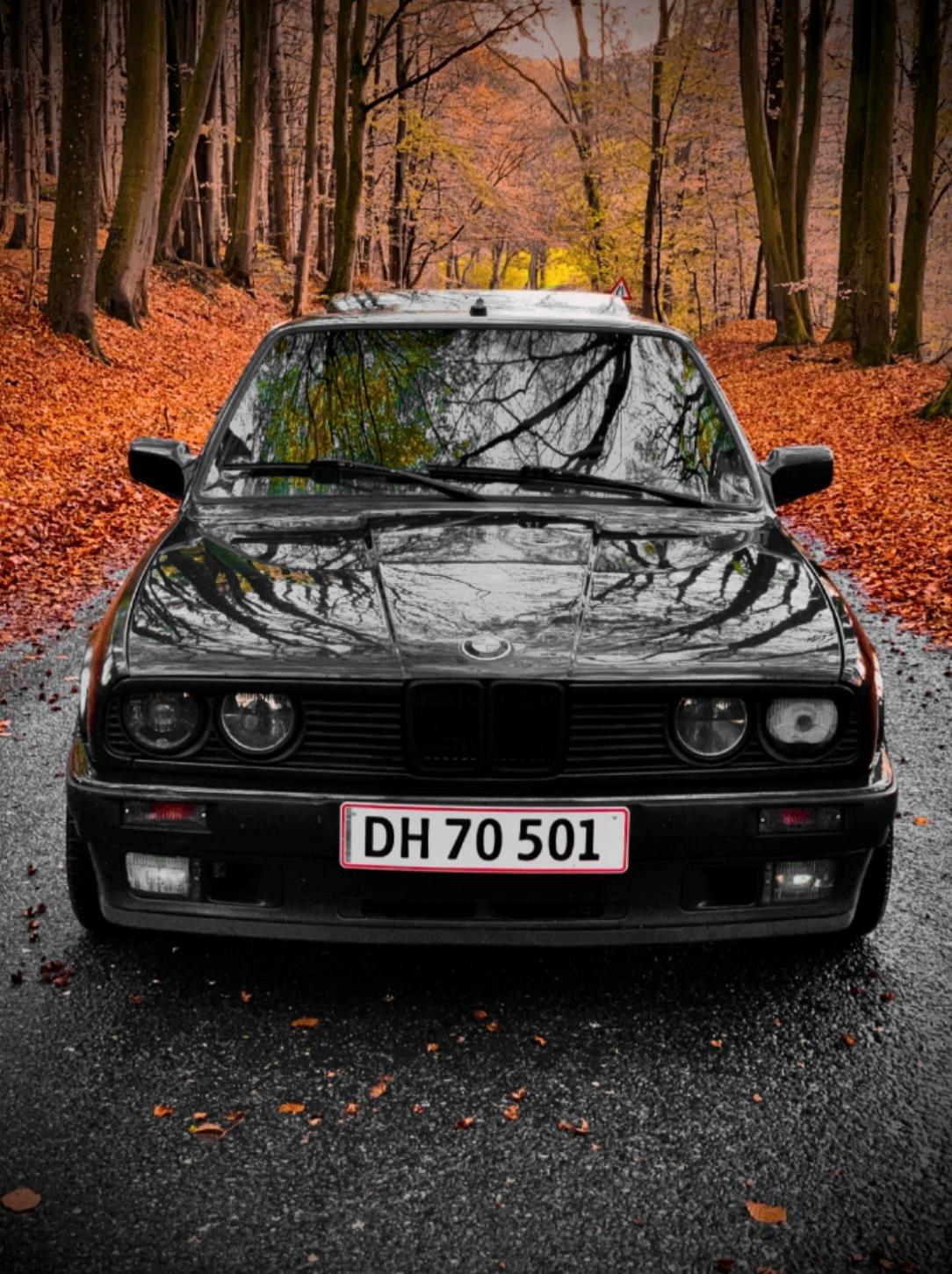BMW 325i E30 Touring billede 1