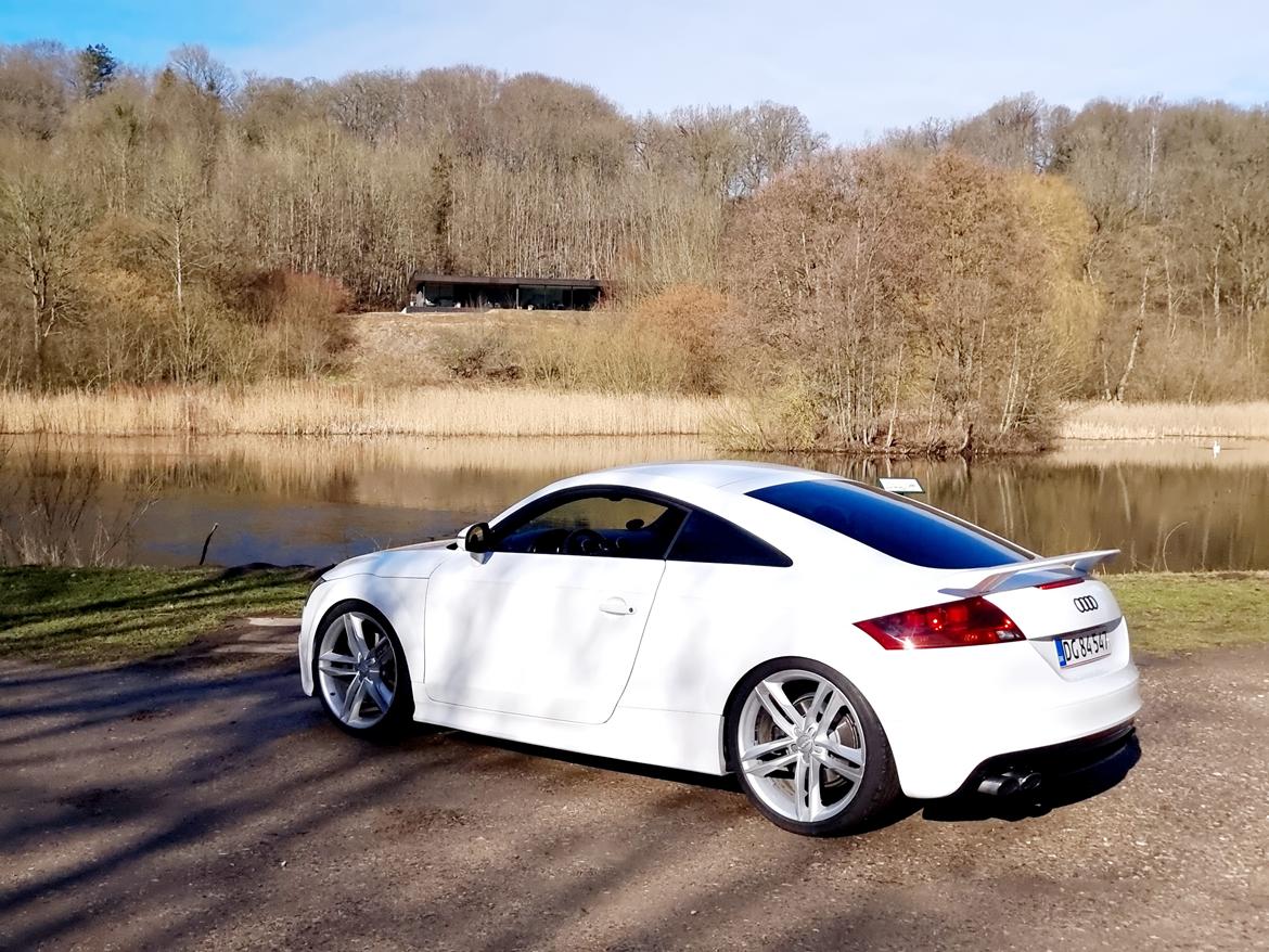 Audi TTS QUATTRO  billede 8