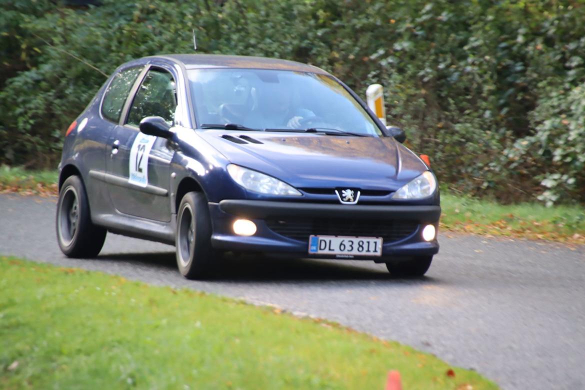 Peugeot 206 GTI billede 9