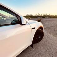 Tesla Model Y, Performance