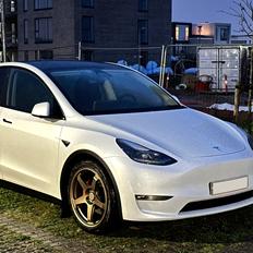 Tesla Model Y Performance