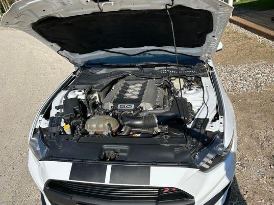 Ford Mustang GT Fastback (U.S). billede 13