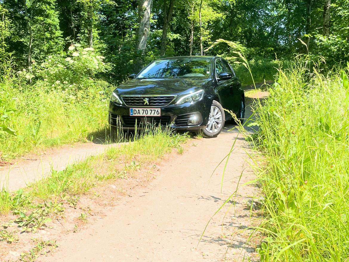 Peugeot 308 Allure Grand billede 7