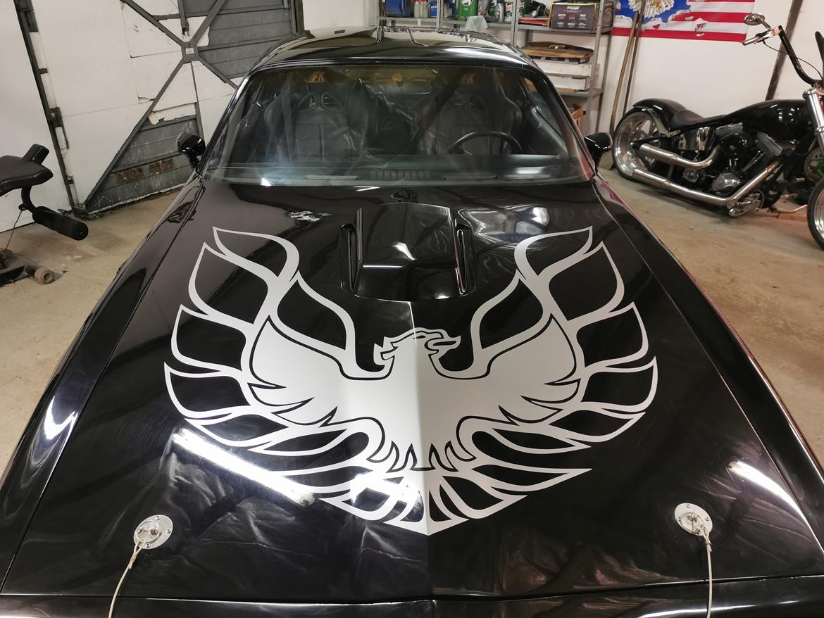 Pontiac Firebird (trans am)  billede 18