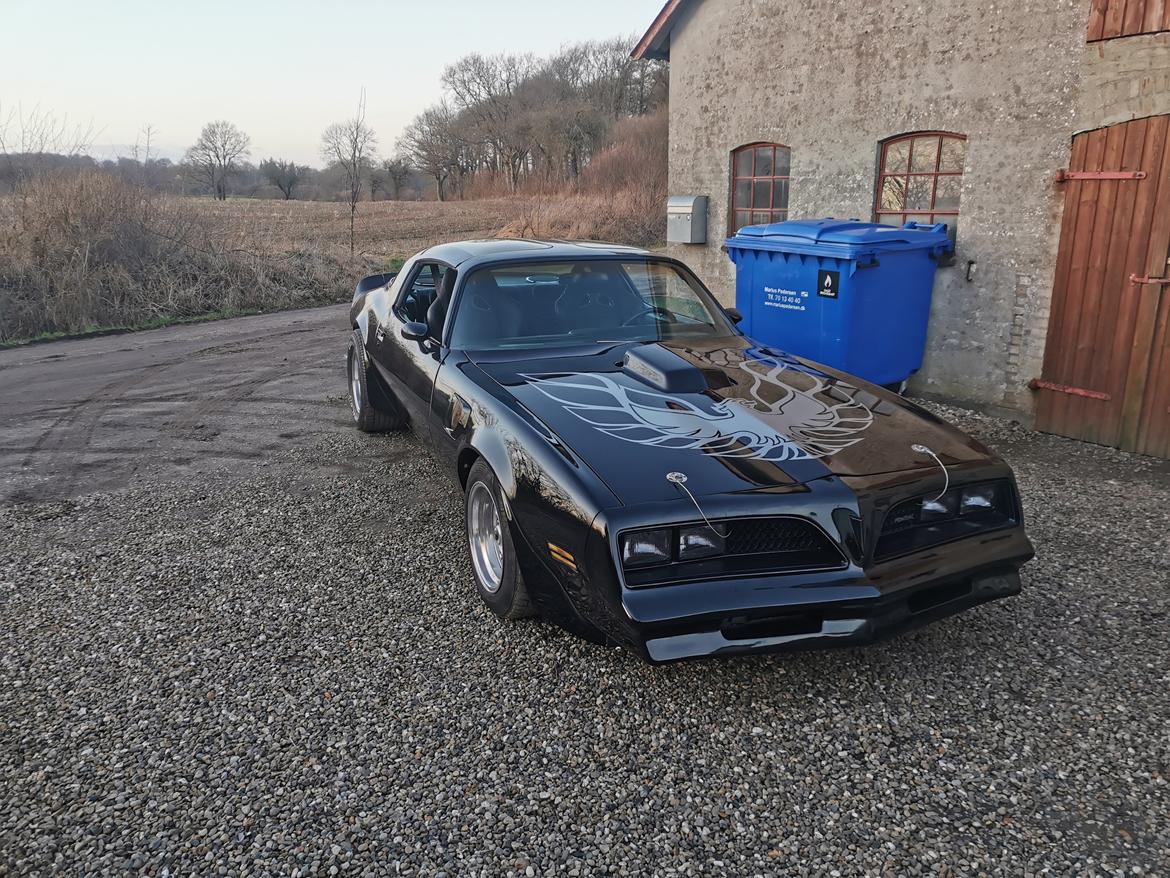Pontiac Firebird (trans am)  billede 20