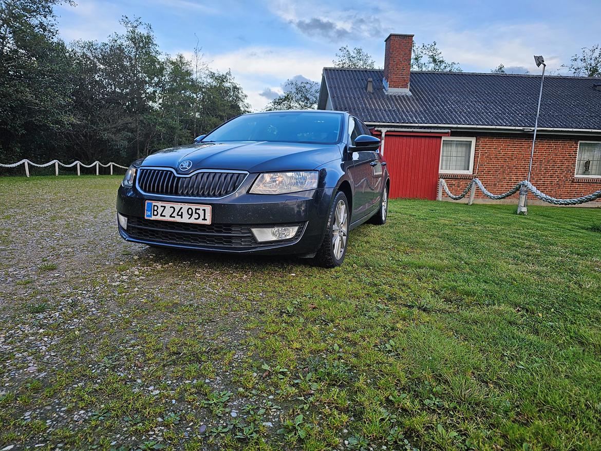 Skoda Oktavia 1,6 TDI Elegance SOLGT billede 19