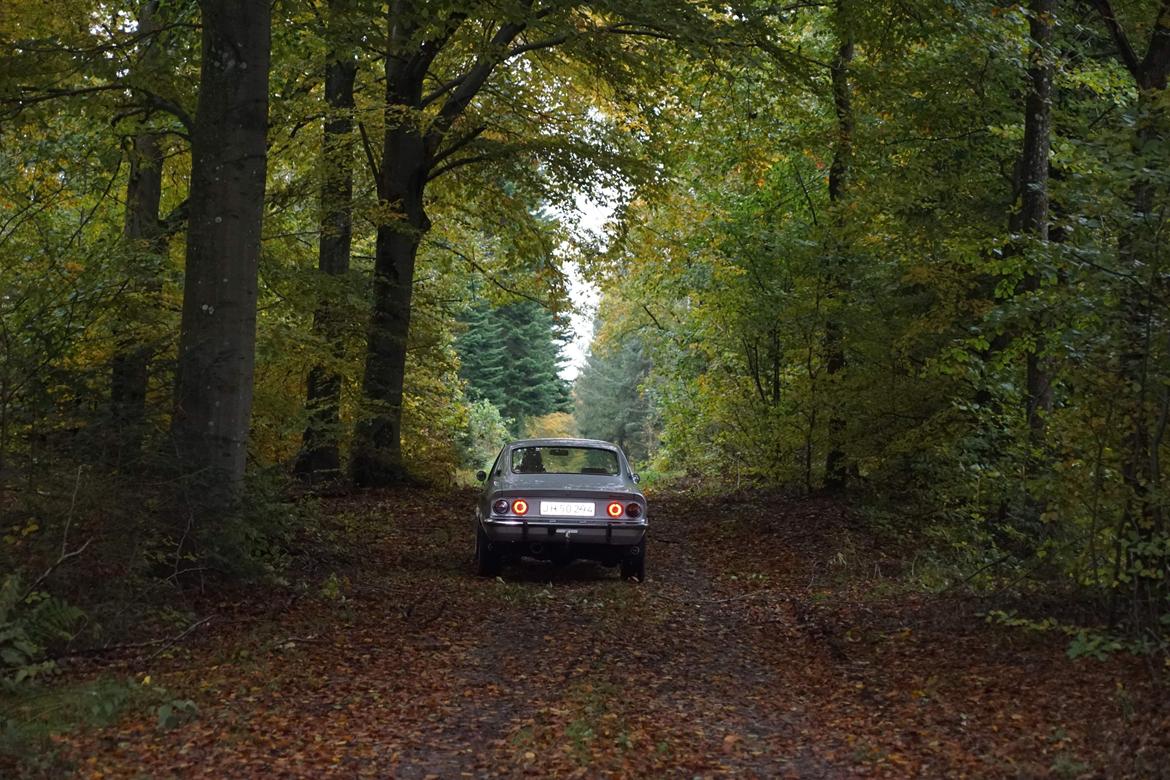 Opel Manta a 1900 Luxus  billede 5