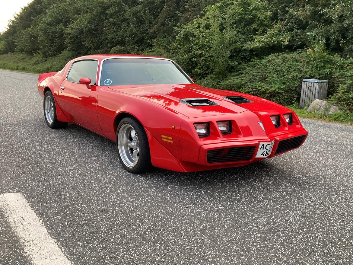 Pontiac Firebird 301 4.9 V8 RTS model billede 1