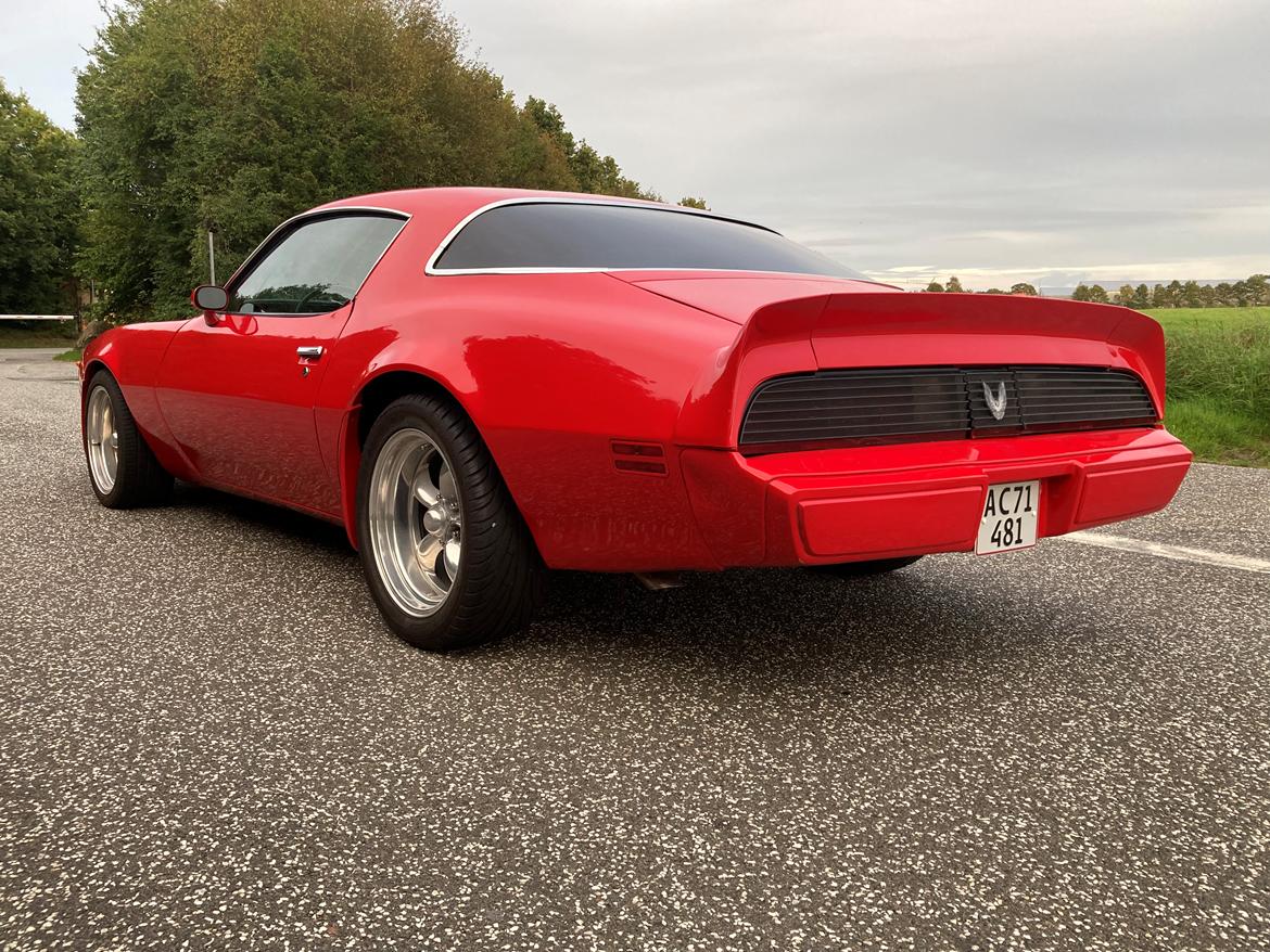 Pontiac Firebird 301 4.9 V8 RTS model billede 3