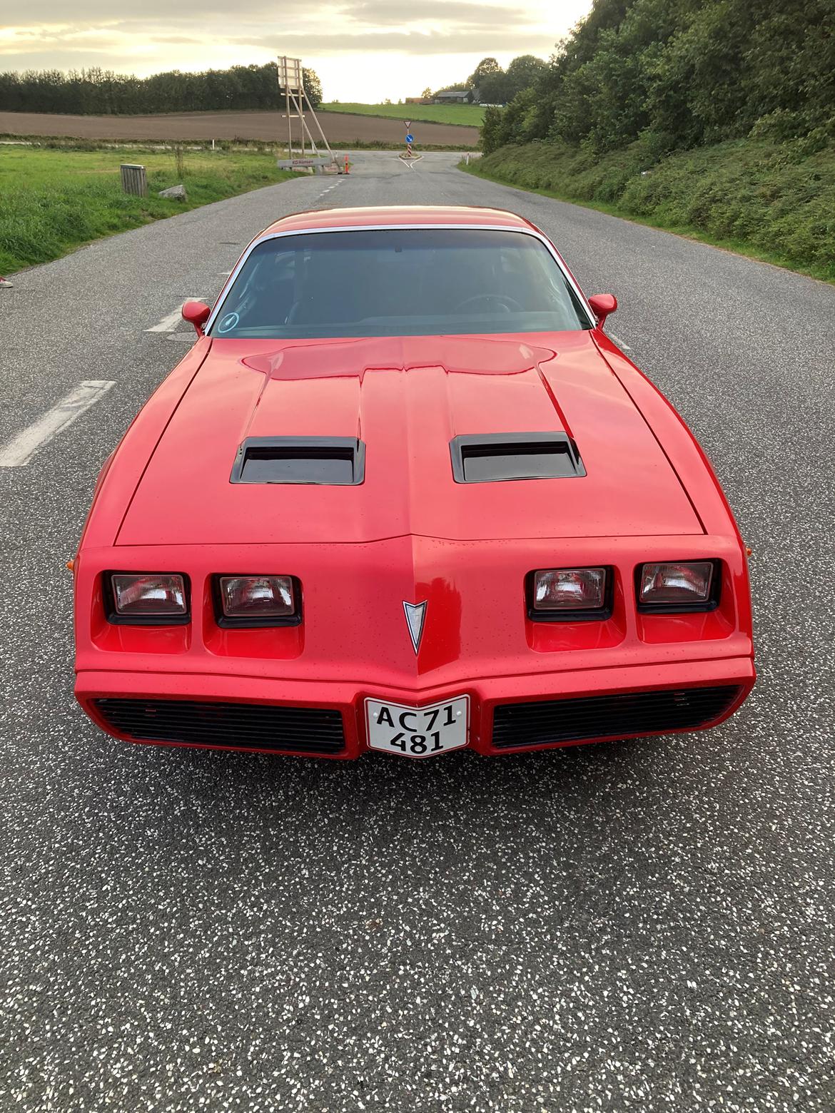 Pontiac Firebird 301 4.9 V8 RTS model billede 6