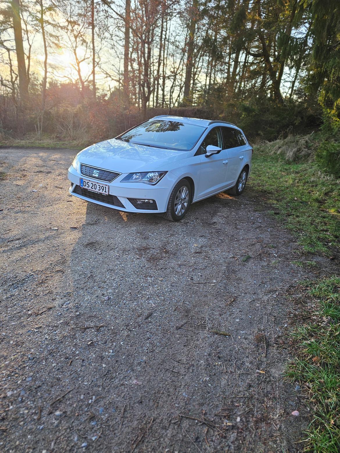 Seat Lenon 1,0 TSI STYLE DSG billede 1