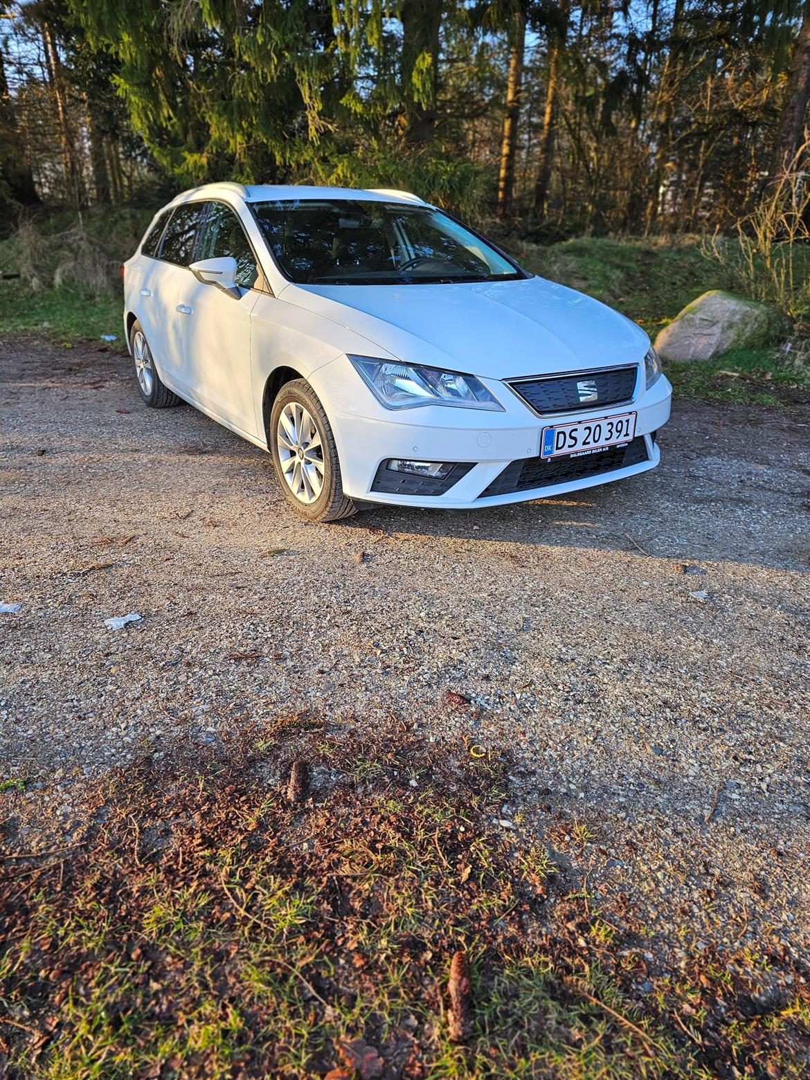 Seat Lenon 1,0 TSI STYLE DSG billede 7