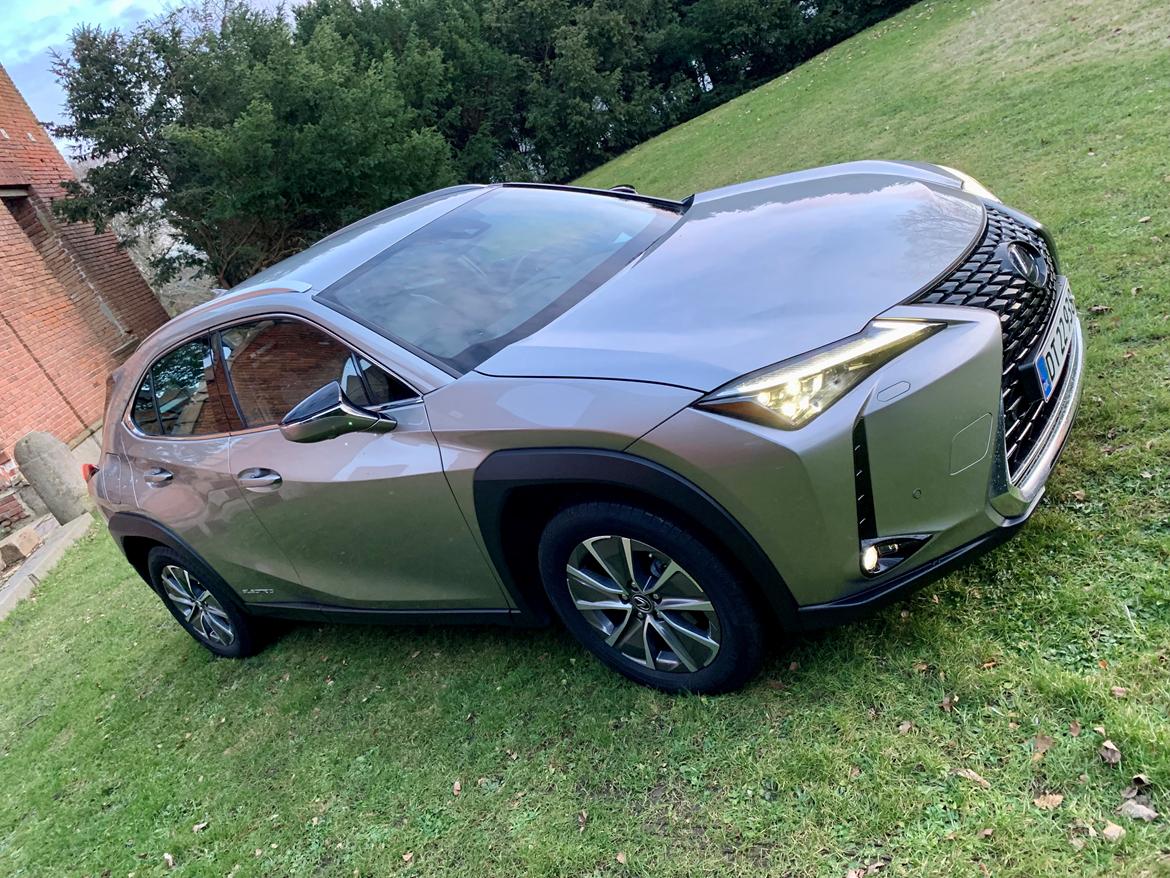 Lexus Lexus UX300e Luxury 5d Grå billede 3