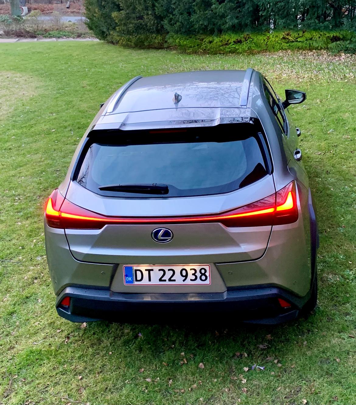 Lexus Lexus UX300e Luxury 5d Grå billede 8