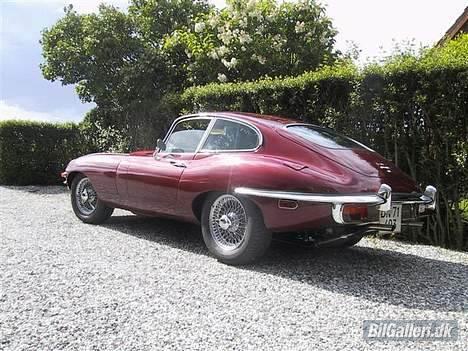 Jaguar E-type SII coupe billede 2