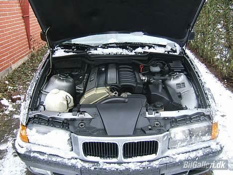 BMW 320i e36 (Solgt) billede 15