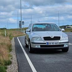 Skoda Octavia II 1.9 TDI 1Z5 Combi