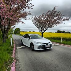 Toyota Camry H3 Executive Hybrid