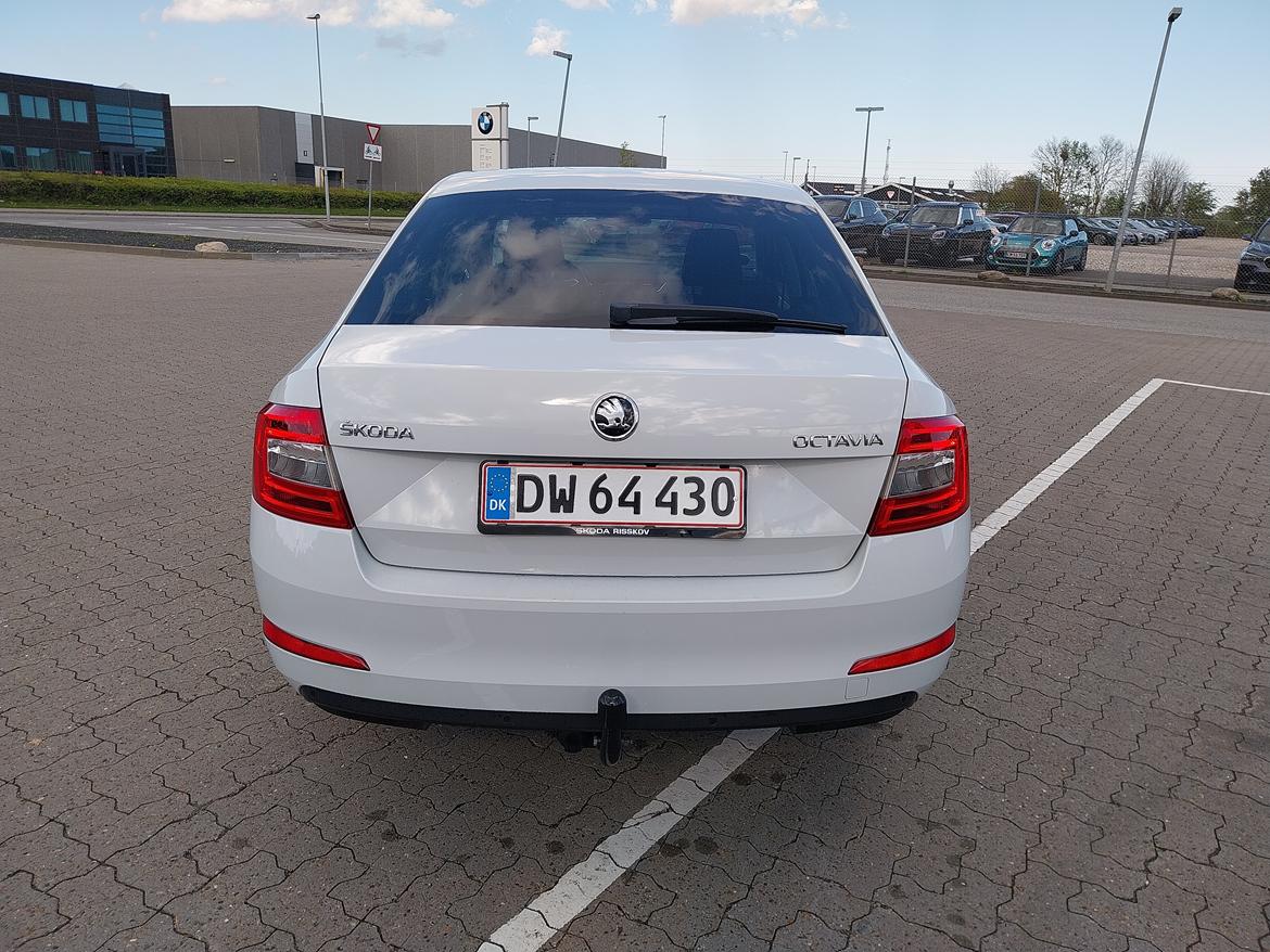 Skoda Octavia 1.4 TSI 5E Liftback billede 5