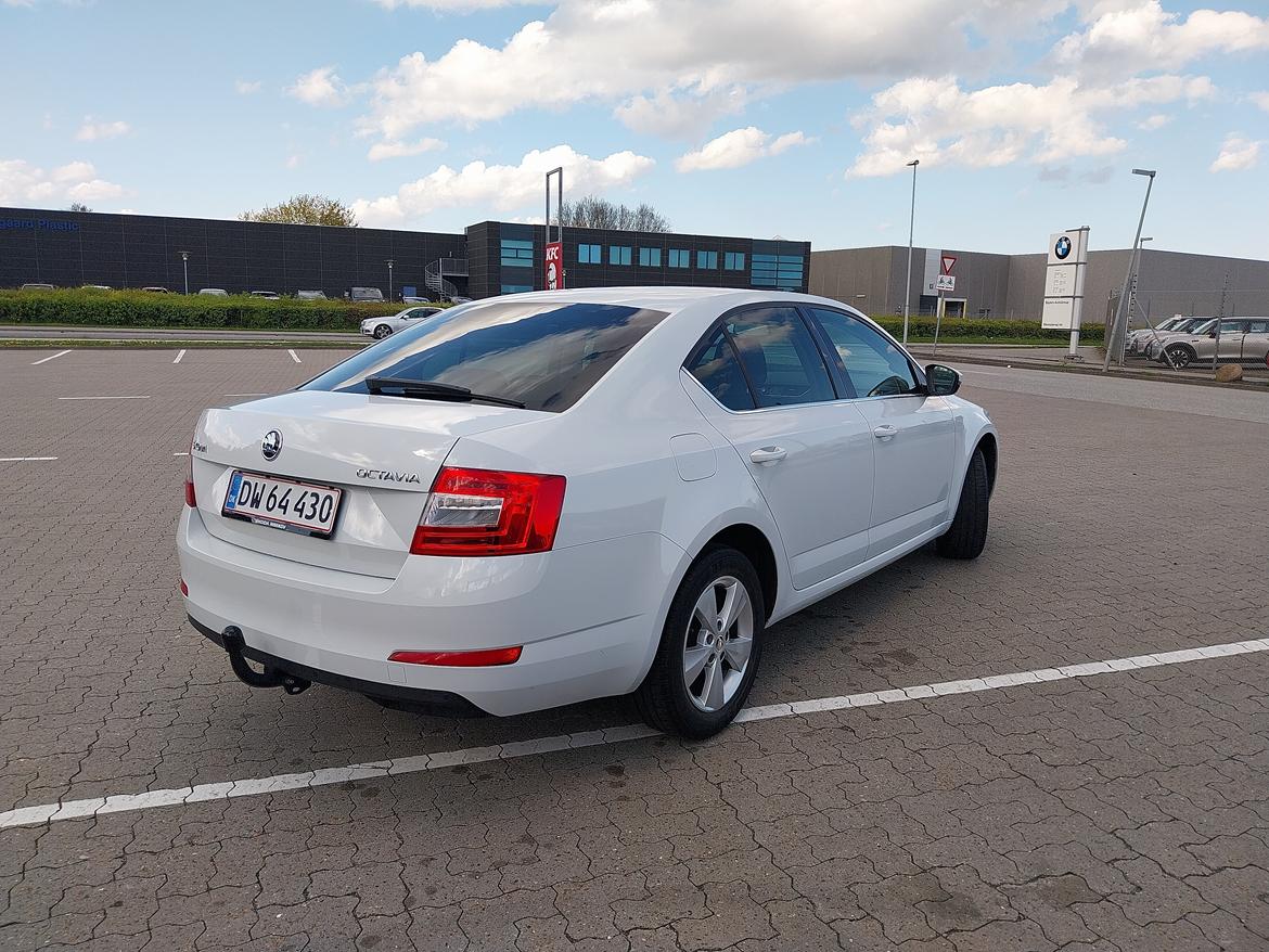 Skoda Octavia 1.4 TSI 5E Liftback billede 6