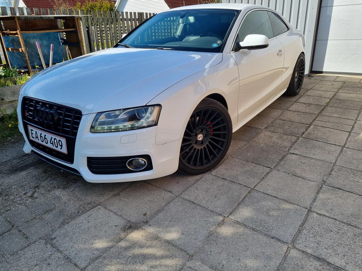 Audi A5 Coupe  Tidligere bil billede 2