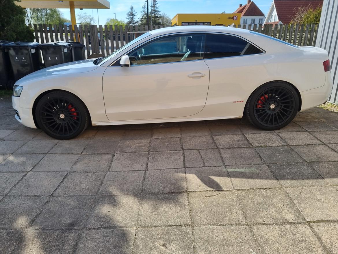 Audi A5 Coupe  Tidligere bil billede 3