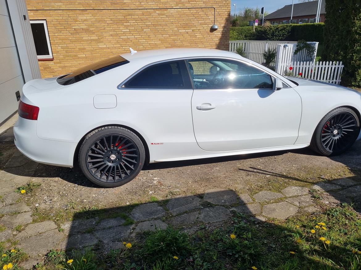 Audi A5 Coupe  Tidligere bil billede 8