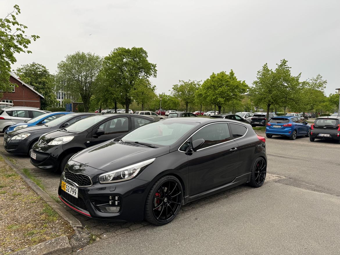 Kia Ceed GT  billede 2