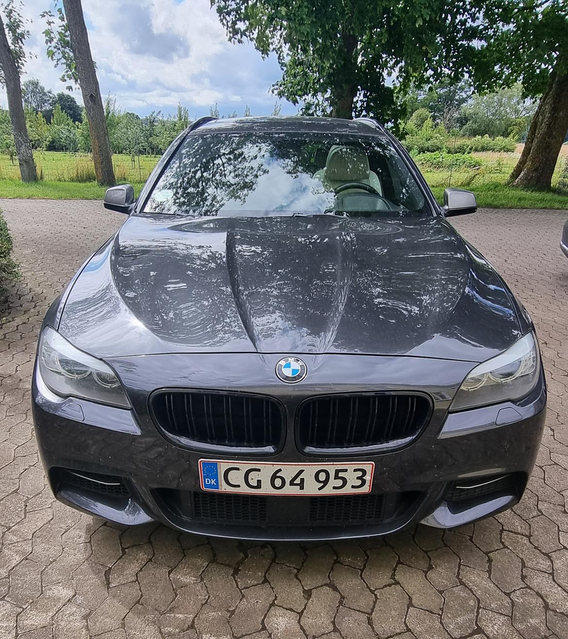 BMW 530D F11 billede 8