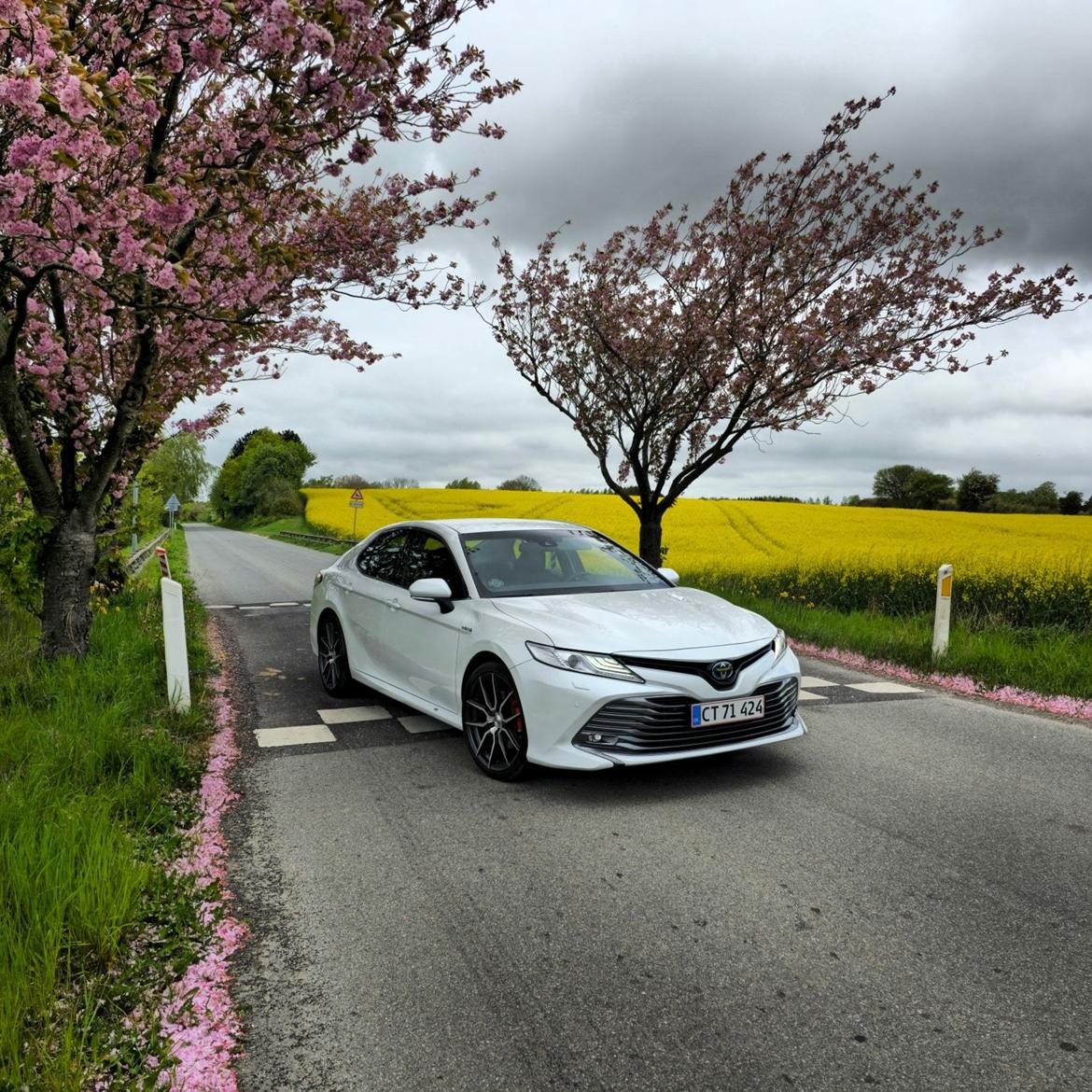 Toyota Camry H3 Executive Hybrid billede 1