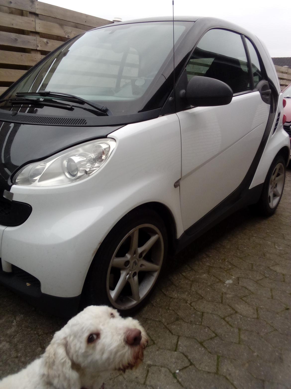 Smart Fortwo 451 billede 1