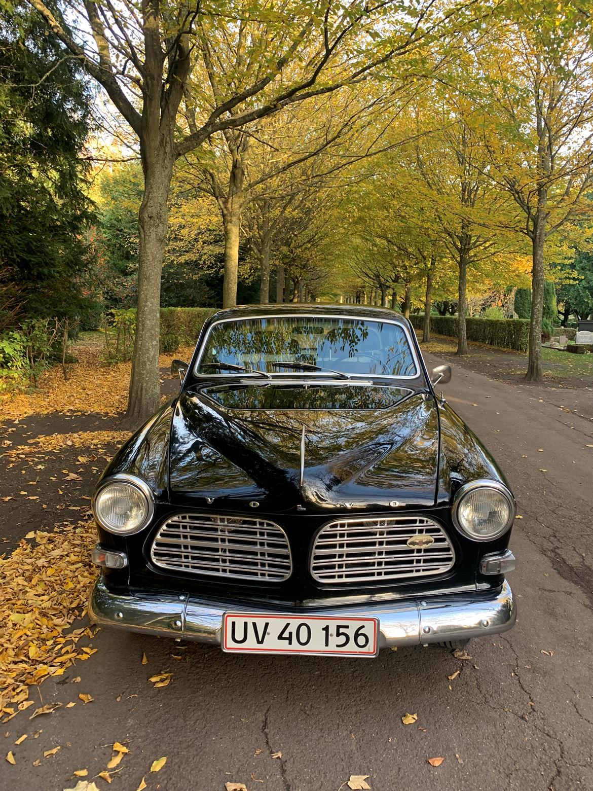 Volvo Amazon Quick billede 16