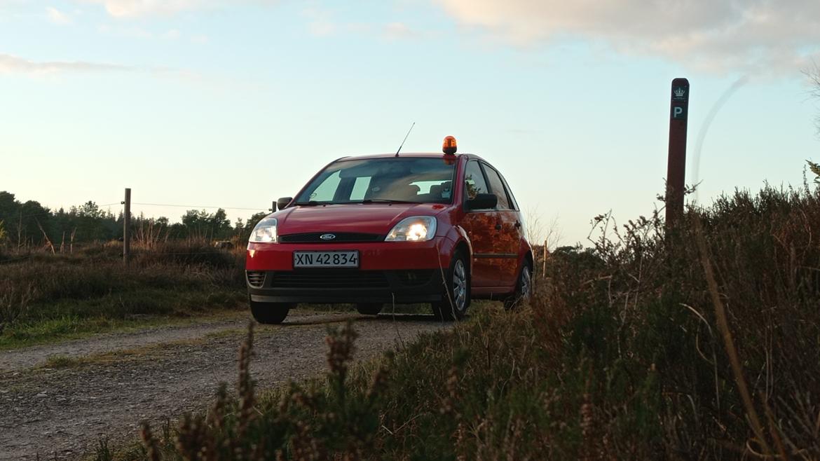 Ford Fiesta Dåsen billede 1