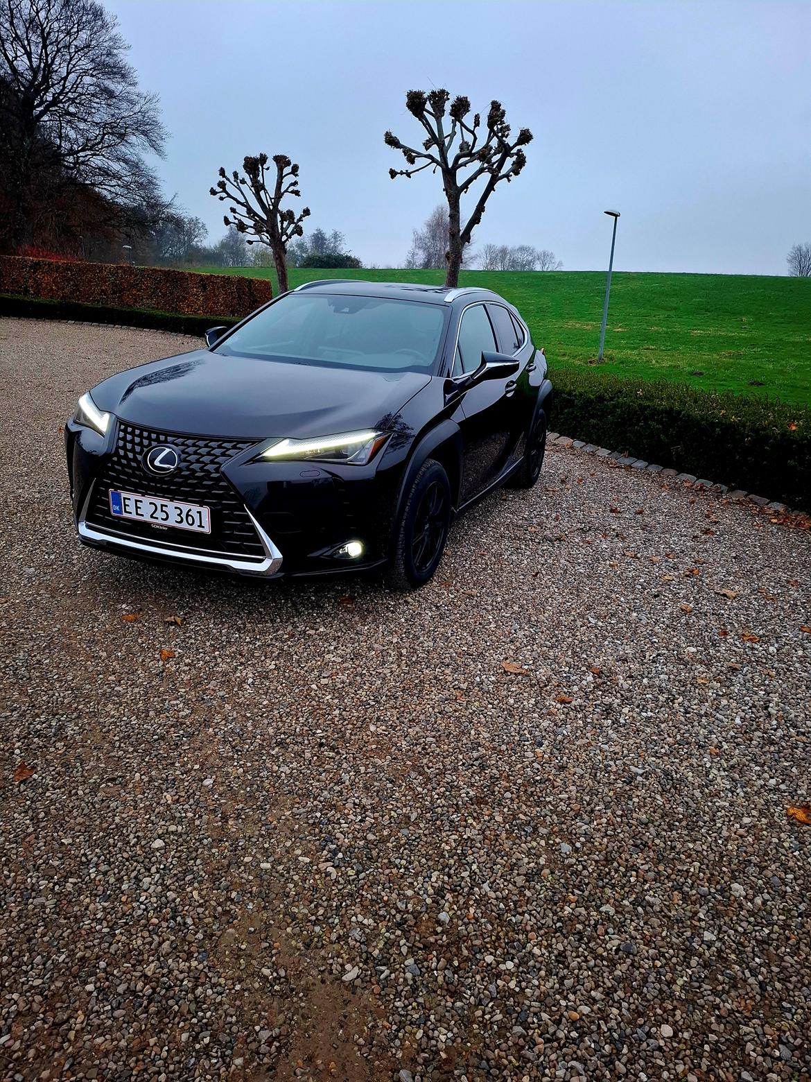 Lexus Ux 250h Premium Teknik billede 12