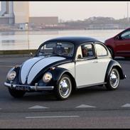 VW 113