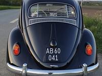 VW 113