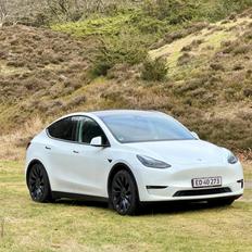 Tesla Model Y Performance