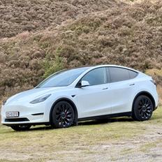 Tesla Model Y Performance