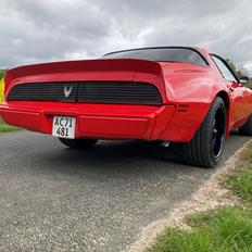 Pontiac Firebird 301 4.9 V8 RTS model