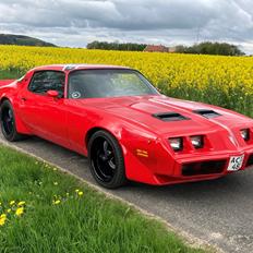 Pontiac Firebird 301 4.9 V8 RTS model