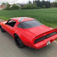 Pontiac Firebird 301 4.9 V8 RTS model