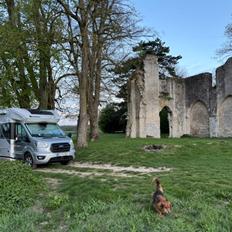 Ford Transit Benimar Tessoro 481
